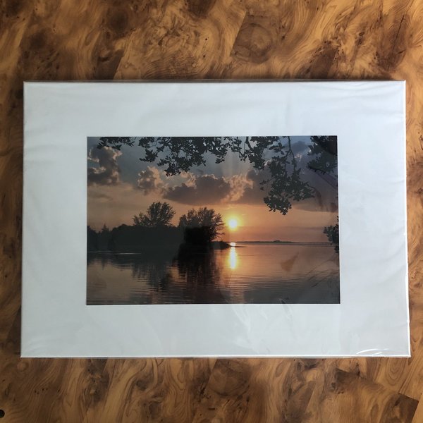 "Sonnenuntergang mit Bäumen Tampa Bay, FL " - Foto auf Keilrahmen 50x70 cm