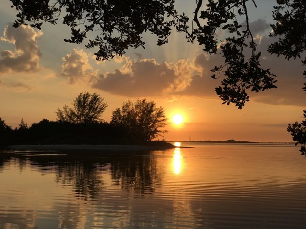 "Sonnenuntergang mit Bäumen Tampa Bay, FL " - Foto auf Keilrahmen 50x70 cm