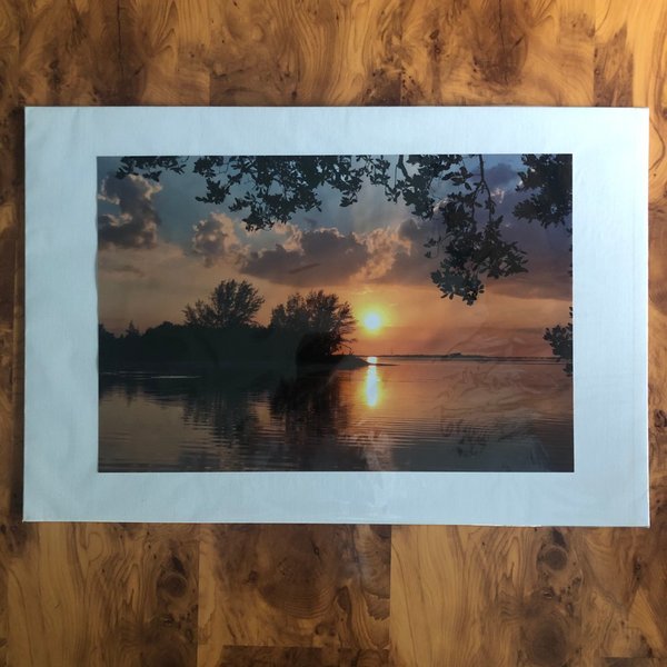 "Sonnentergang mit Bäumen TampaBay, FL"   - Foto auf Leinwandkarton 40x60 cm