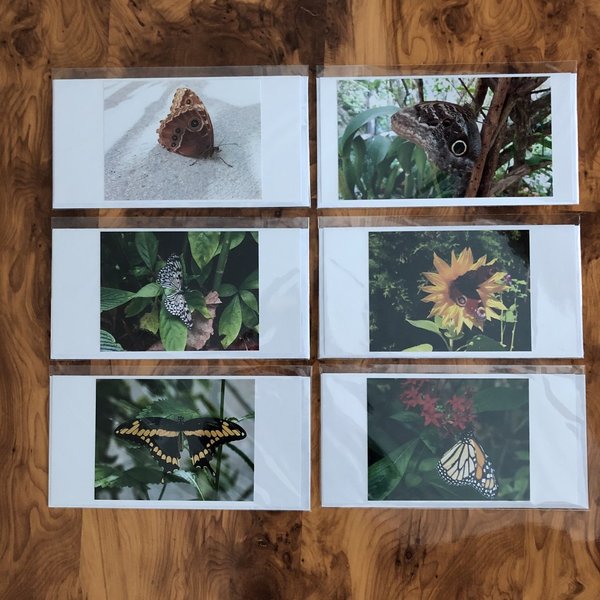 Kartenpaket "Schmetterlinge" - 6 tlg. inkl. Umschläge
