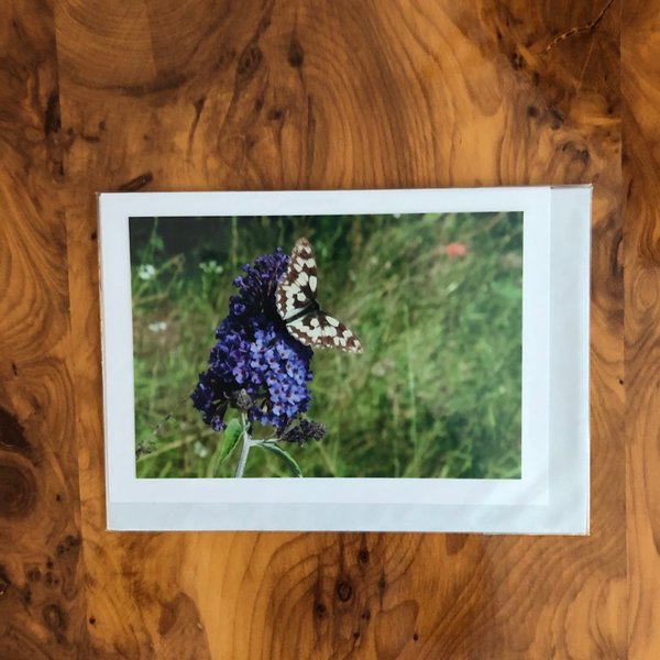 Karte "Schmetterling auf lila Flieder" - Din-A6-Format inkl. Umschlag