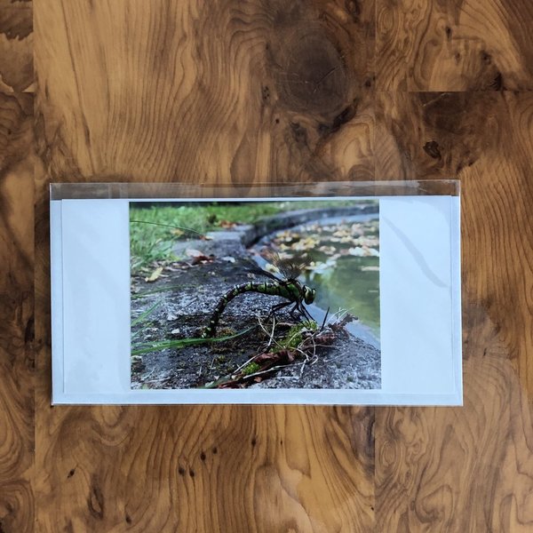 Karte "Libelle am Teich A" - Din-lang-Format inkl. Umschlag