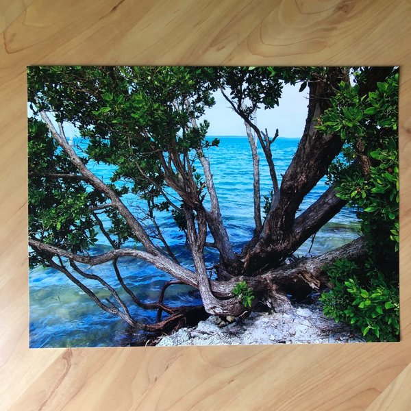Foto-Poster "Florida Keys" 30x40 cm
