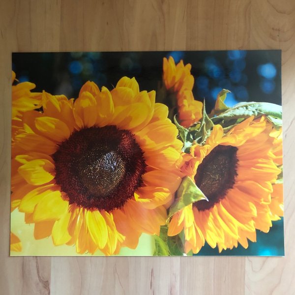 Foto-Poster "Sonnenblumen" 30x40 cm