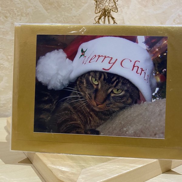 Weihnachtskarte "Katze" Din-A6