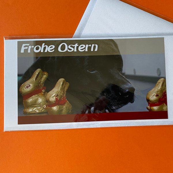 Osterklappkarte "Frohe Ostern Mr.B." - Din-lang-Format mit Umschlag