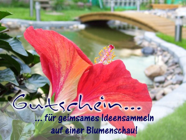 GUTSCHEIN-Karte ".. für gemeinsames Ideensammeln auf einer Blumenschau" - inkl. Umschlag
